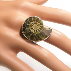 Комплект с аммонитом 650-nk