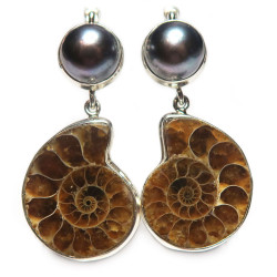 Комплект с аммонитом 650-nk