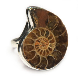 Комплект с аммонитом 650-nk