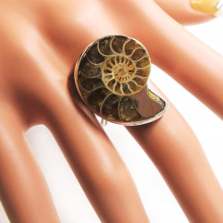 Комплект с аммонитом 650-nk